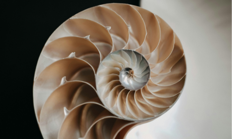Può la matematica aiutarci ad apparire più stilosi?
